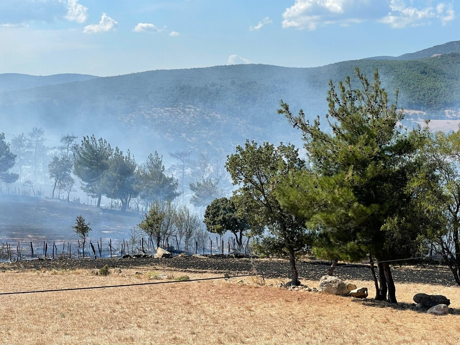 Bakan Pakdemirli: "Çanakkale’deki orman yangını kontrol altına alındı"
