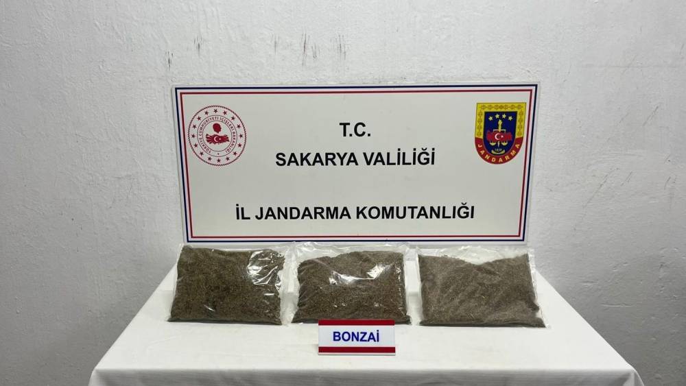 Jandarma uyuşturucuya geçit vermiyor: 1 tutuklama
