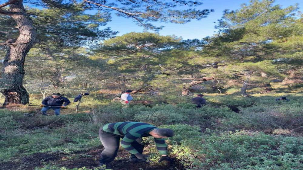 K&ouml;yl&uuml;lerden imece usul&uuml; temizlik etkinliği
