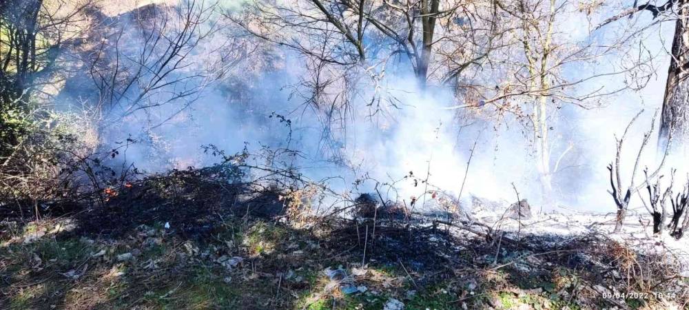 Çanakkale’de çöplük yangını ormana sıçramadan söndürüldü
