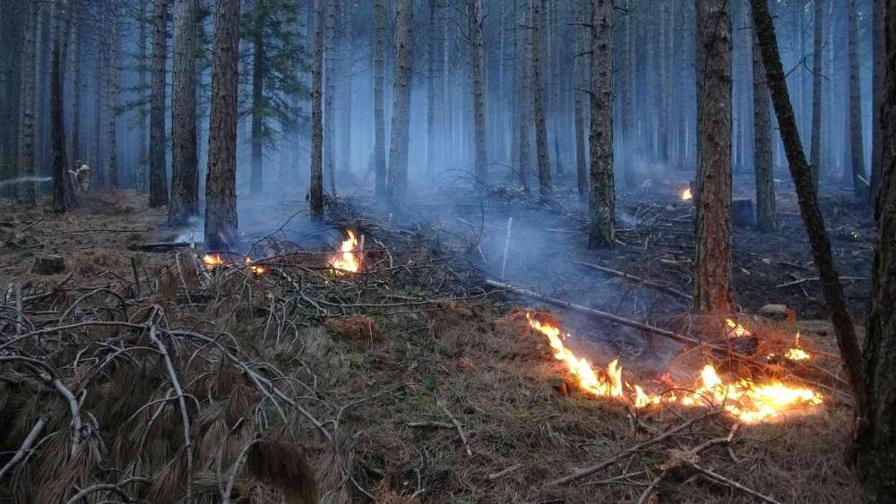 Kaz Dağları’ndaki örtü yangını kontrol altına alındı, 80 hektar alan zarar gördü
