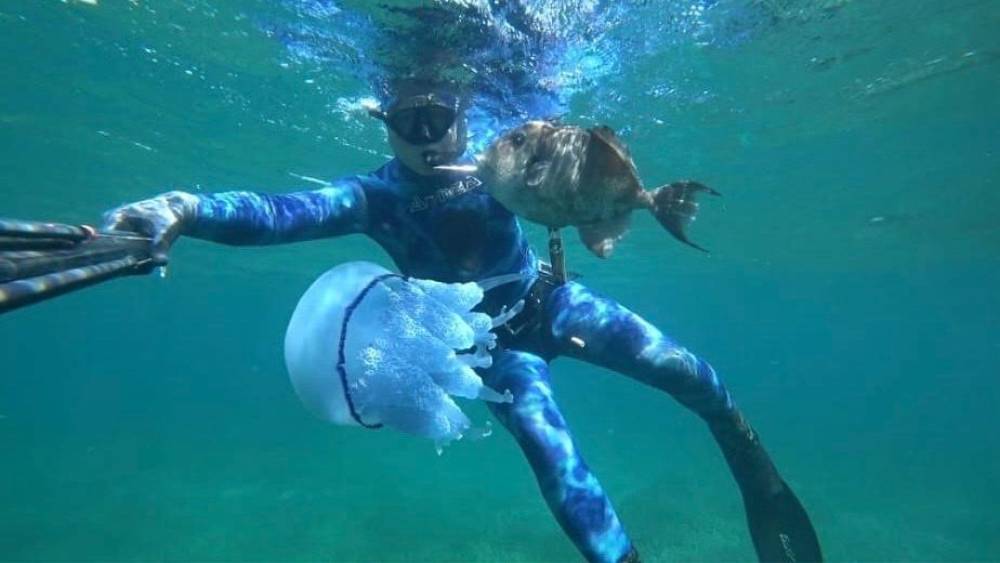 &Ccedil;anakkale Boğazı&rsquo;nda mavi denizanası istilası
