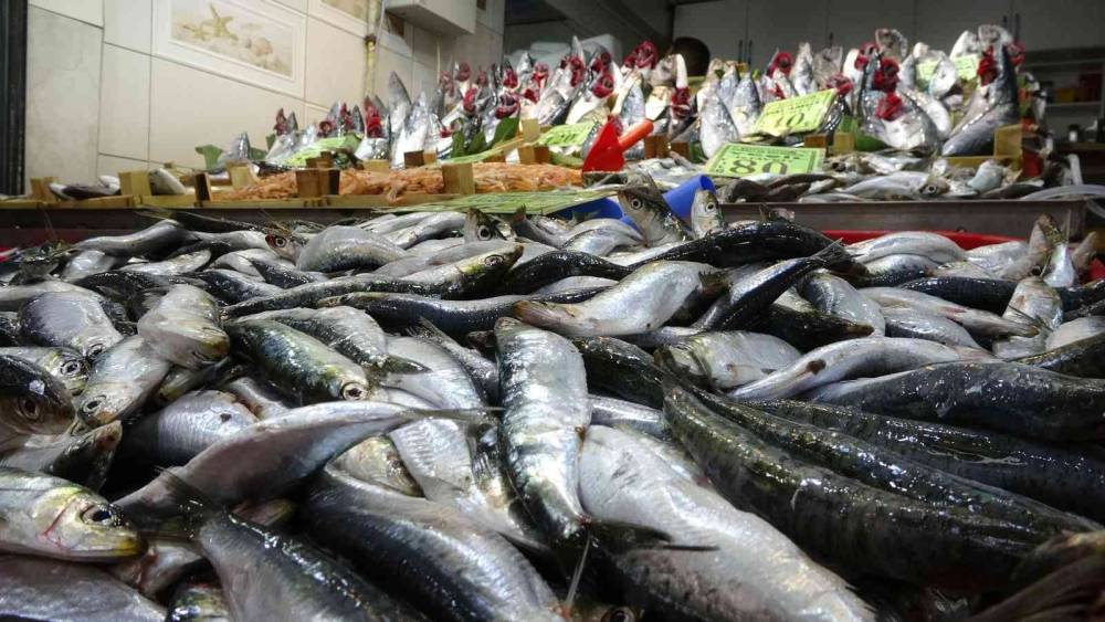 Balık fiyatları düştü, vatandaşların ilgisi arttı
