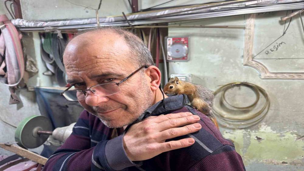 Ormanda bulduğu sincap en yakın dostu oldu
