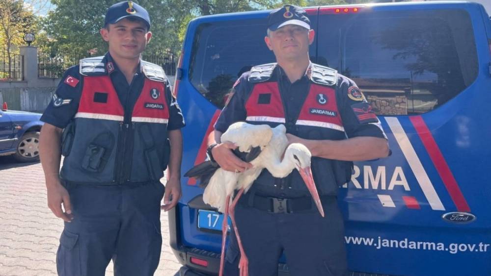 Bayramiç’te bulunan yaralı leylek tedavi altına alındı
