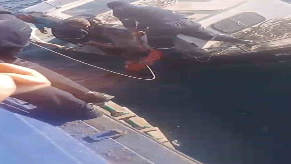 Feribottan atlayan kişiyi Gestaş personelleri ve balık&ccedil;ılar kurtardı
