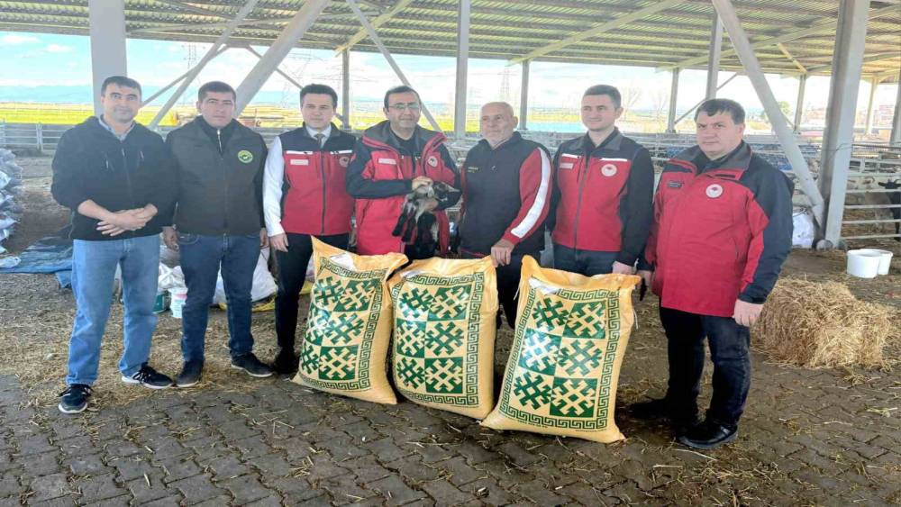 Ezine&rsquo;de taşkından etkilenen yetiştiricilere yem desteği
