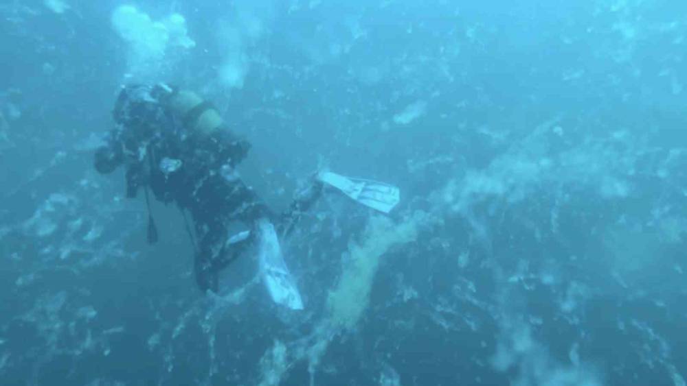 Çanakkale’de müsilaj alarmı
