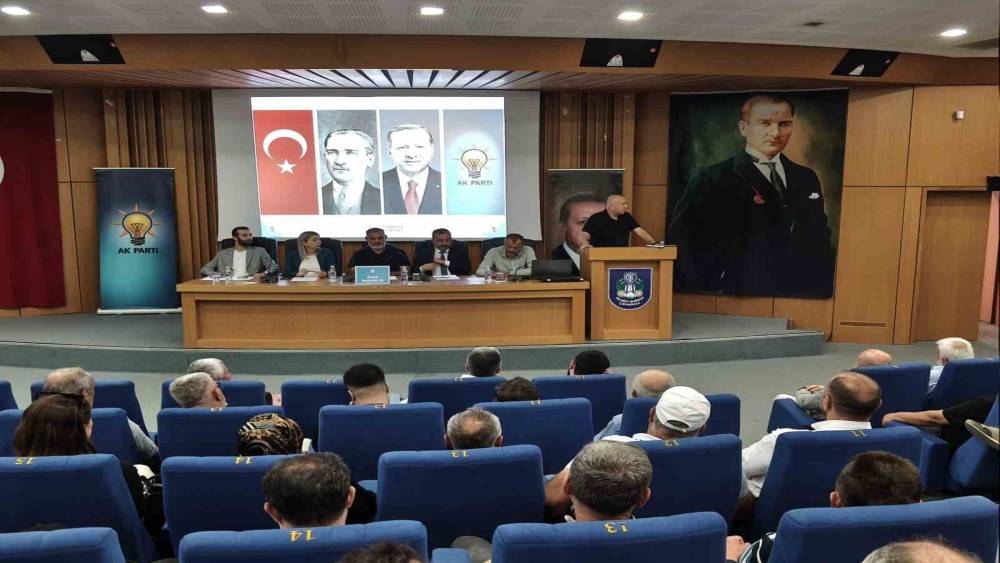 AK Parti Milletvekili Gider: 