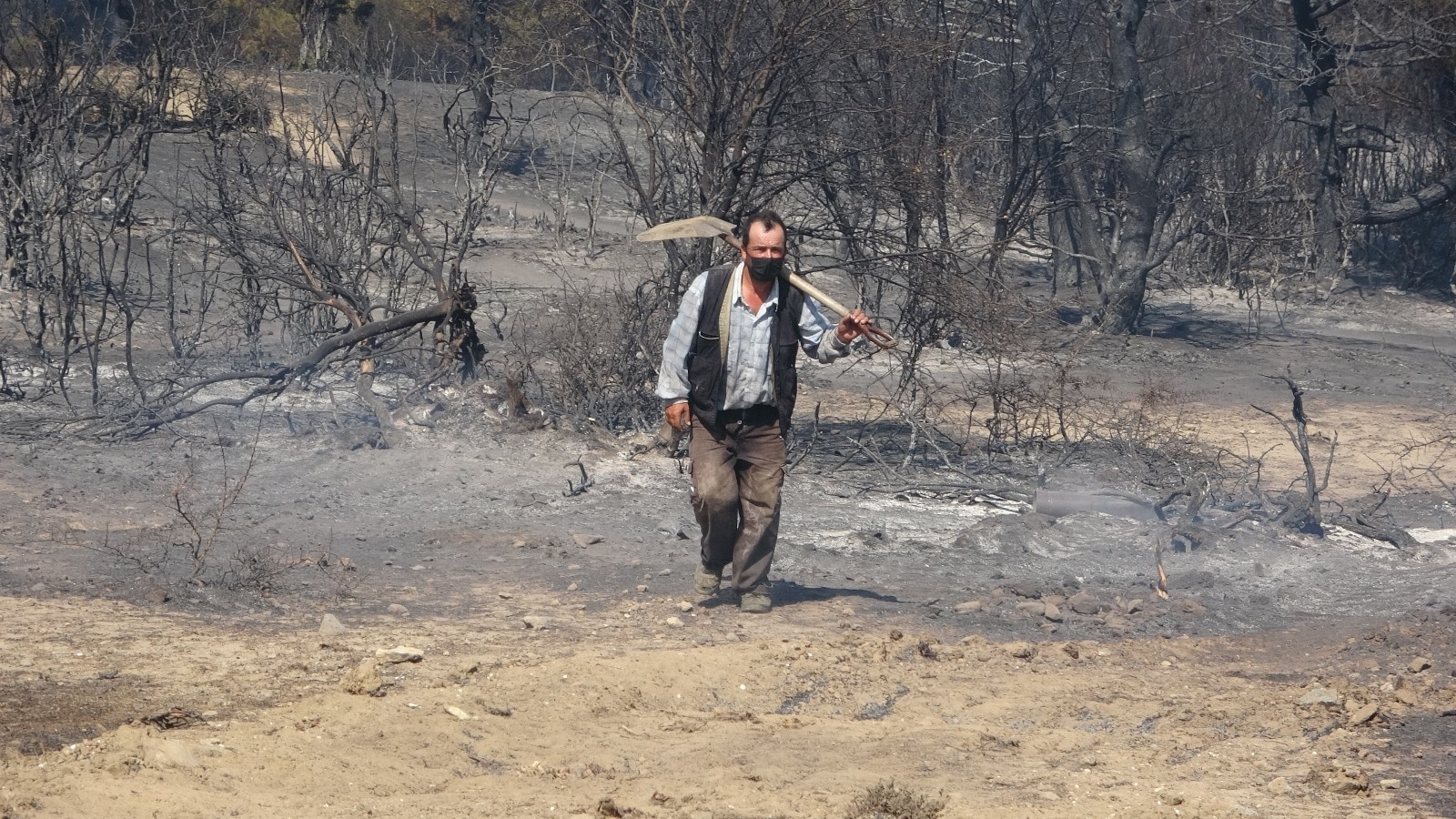 Tavaklı’da 1 ayda 9’uncu kez orman yangını çıktı
