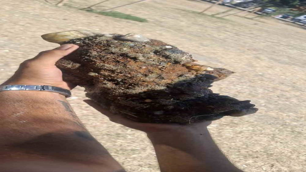 &Ccedil;anakkale&rsquo;de plajda patlamamış askeri m&uuml;himmat bulundu
