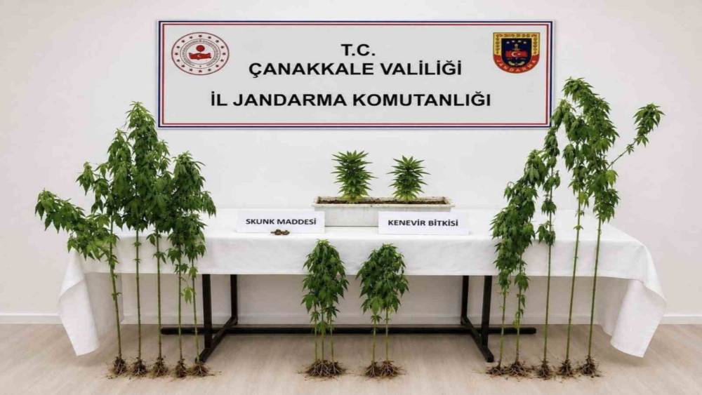 &Ccedil;anakkale&rsquo;de 3 il&ccedil;ede uyuşturucu operasyonu
