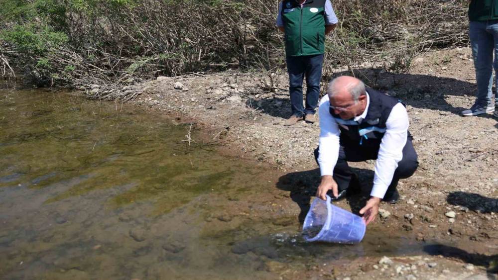 Atikhisar Barajı&rsquo;na 348 bin sazan balığı yavrusu bırakıldı
