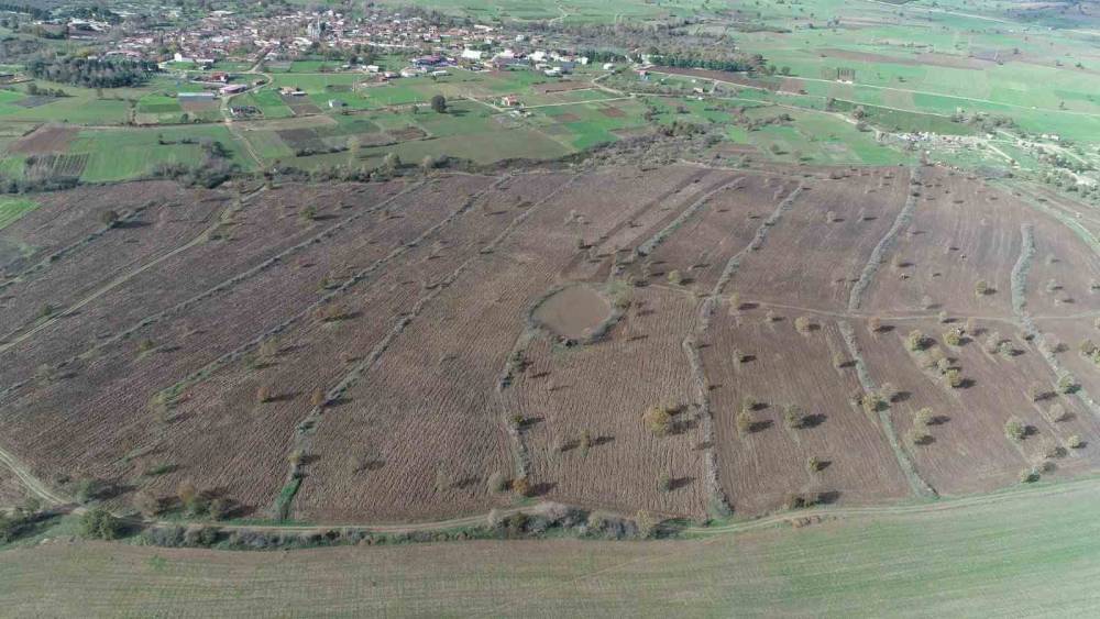 Biga’da proje çerçevesinde 2 yılda 845 dekar mera alanı ıslah edildi
