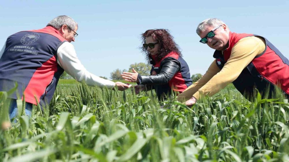 &Ccedil;anakkale&rsquo;de ekili ve dikili alanlarda kontroller devam ediyor
