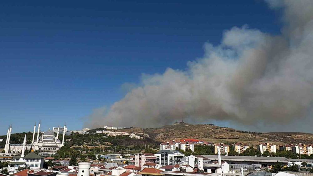 &Ccedil;anakkale&rsquo;de orman yangını
