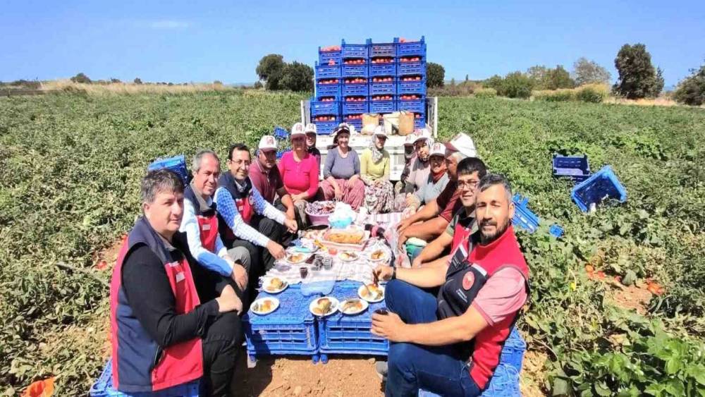 Çanakkale’de İl Tarım Müdürlüğünden üreticilere domates hasadı ziyareti
