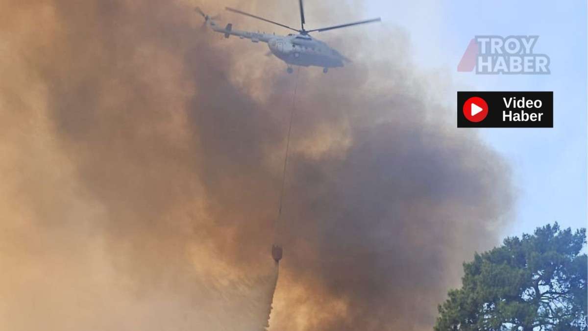 Antalya'da orman yangını