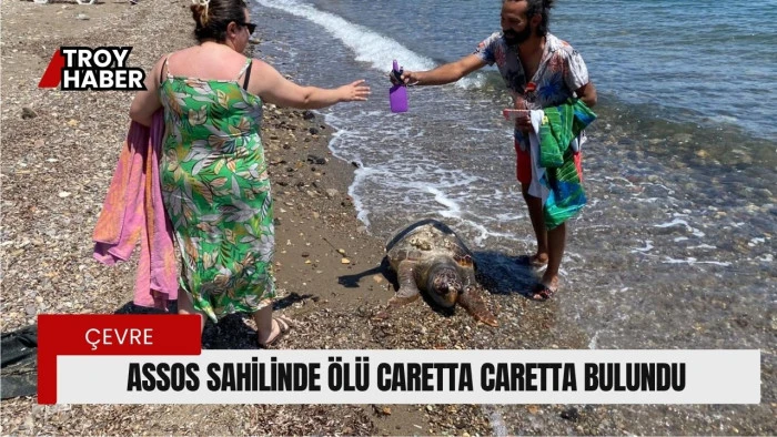 Assos sahilinde ölü caretta caretta bulundu