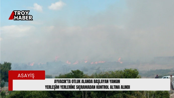 Ayvacık’ta otluk alanda başlayan yangın yerleşim yerlerine sıçramadan kontrol altına alındı