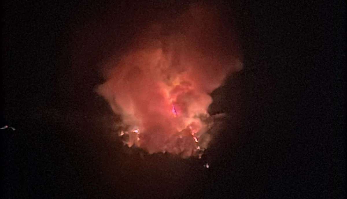 Bayramiç'te orman yangını