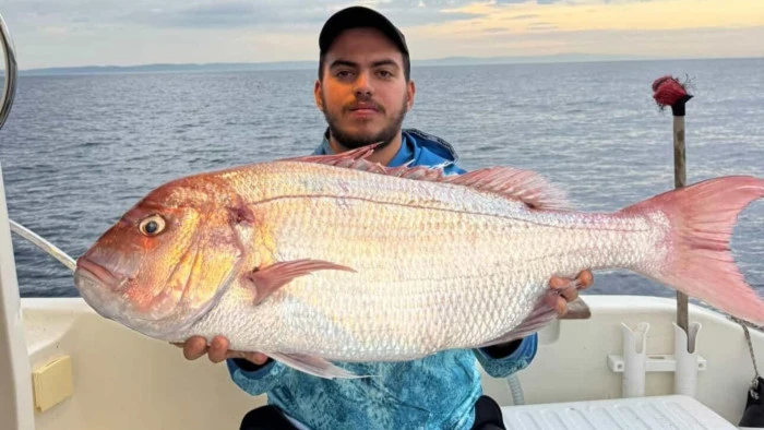 Çanakkale’de balıkçılar 12 kilogramlık mercan balığı yakaladı