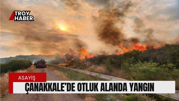 Çanakkale’de otluk alanda yangın