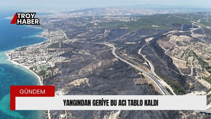 Çanakkale’de yangından geriye bu acı tablo kaldı