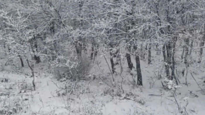 &Ccedil;anakkale&rsquo;de y&uuml;ksek kesimler beyaza b&uuml;r&uuml;nd&uuml;