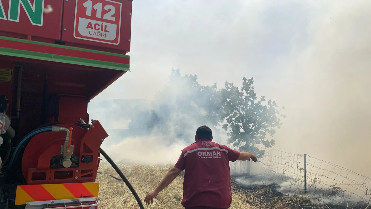 Çanakkale'deki orman yangını kontrol altına alındı