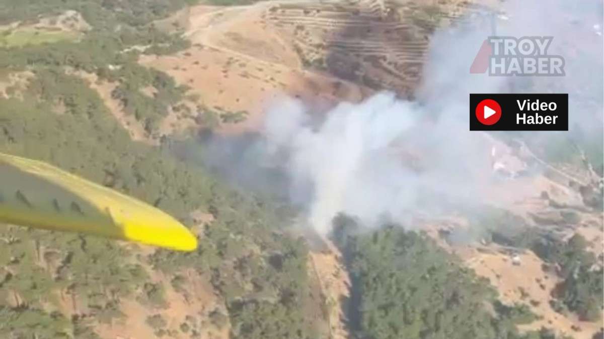  İzmir’de orman yangını 