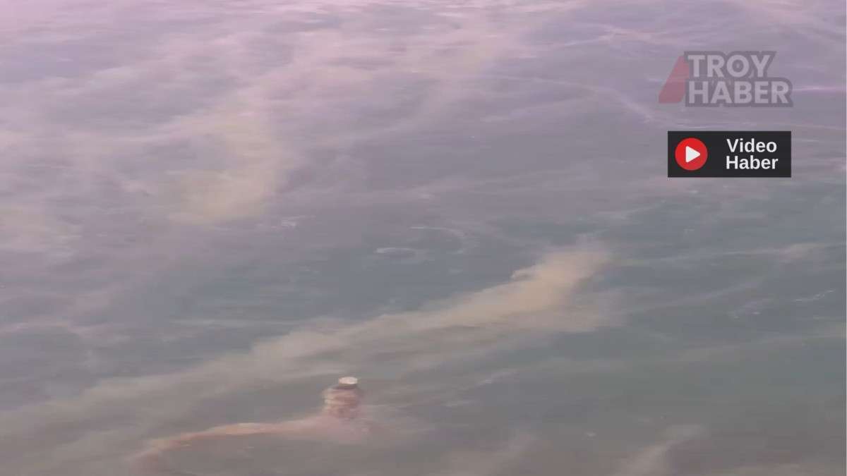 Kabus geri döndü.. İstanbul ve İzmit Körfezi tehlikede