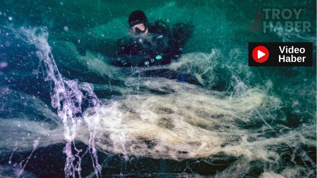 Müsilaj, 7 haftada bütün Marmara Denizi’ne yayıldı, Ege Denizi’ne geçti